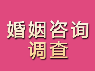 江安婚姻咨询调查